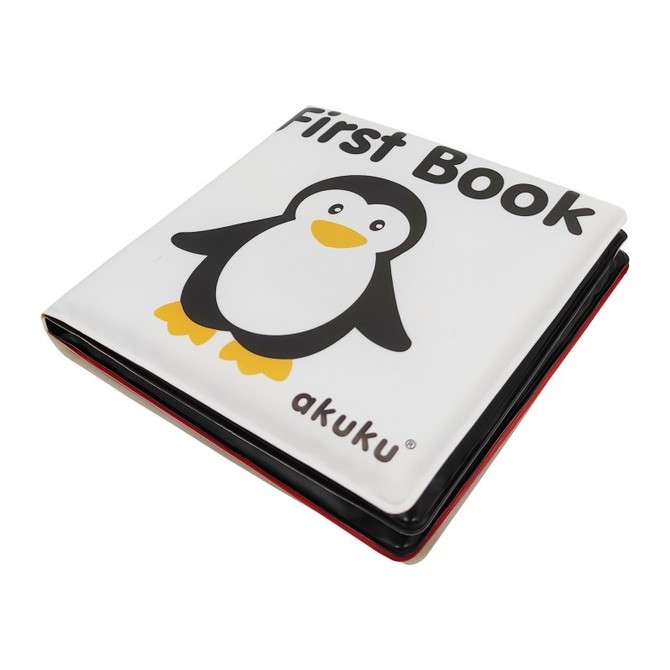 A0476 PÄDAGOGISCHES ERSTES BUCH